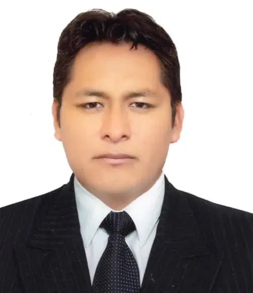 Foto de LUIS MOLLAPAZA